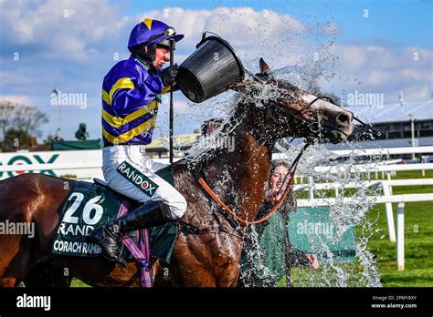 aintree results grand national|Grand National 2023 result: Corach Rambler wins at Aintree after .